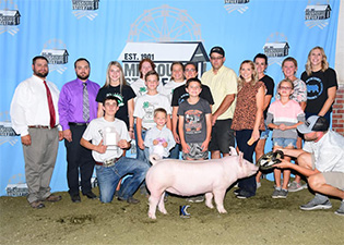 Sanders Showpigs