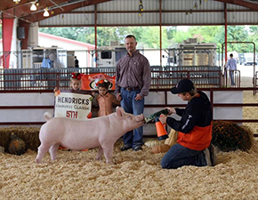 Sanders Showpigs Champions