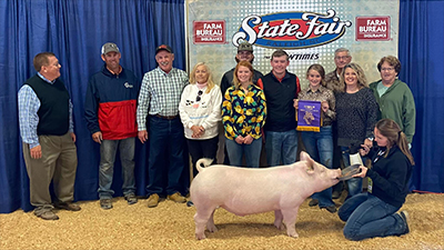 Sanders Showpigs Champions