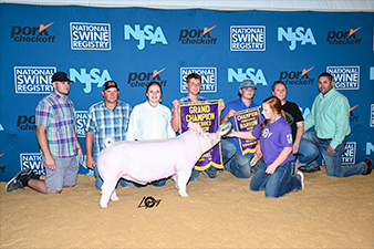 Sanders Showpigs Champions