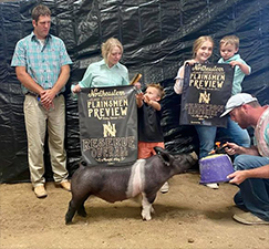 Sanders Showpigs Champions