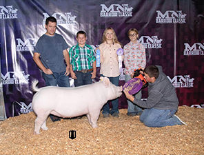 Sanders Showpigs Champions