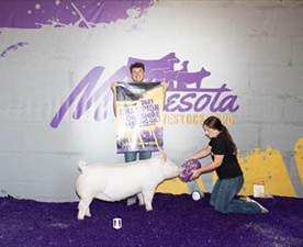 Sanders Showpigs Winners