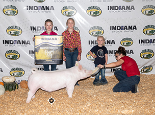 Sanders SHowpigs Champions