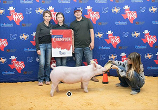 Sanders Showpigs Champions